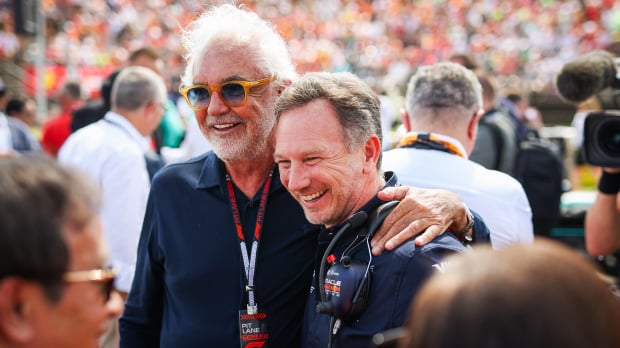 Flavio Briatore si Christian Horner foto-profimedia