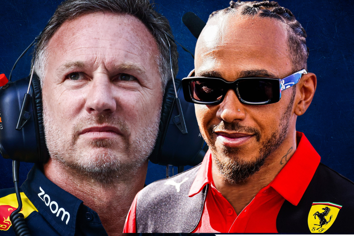 Chris Horner si Lewis Hamilton, foto- F1 fans