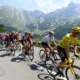 Grup de ciclisti in Tour de France, foto-profimedia