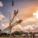 Goodwood Festival of Speed, foto: Emil-Sebastian Popescu/SpotPulse