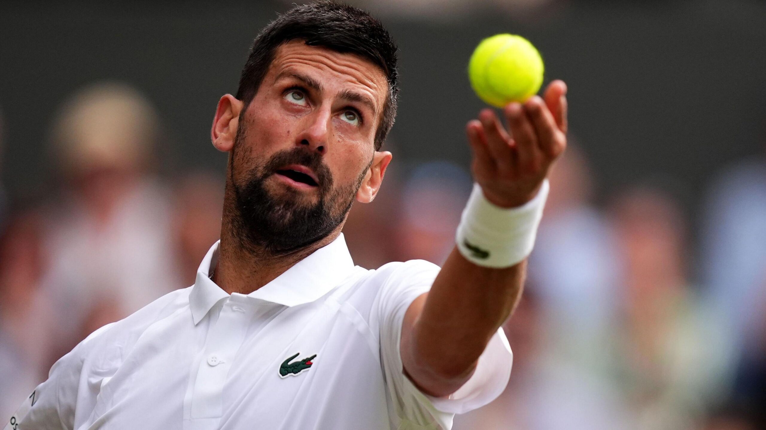 Novak Djocovic, foto imago