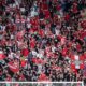 Suporterii UTA celebrand, foto-profimedia