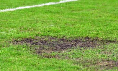 Gazon Stadion Clinceni, foto - Imago
