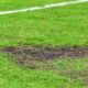 Gazon Stadion Clinceni, foto - Imago