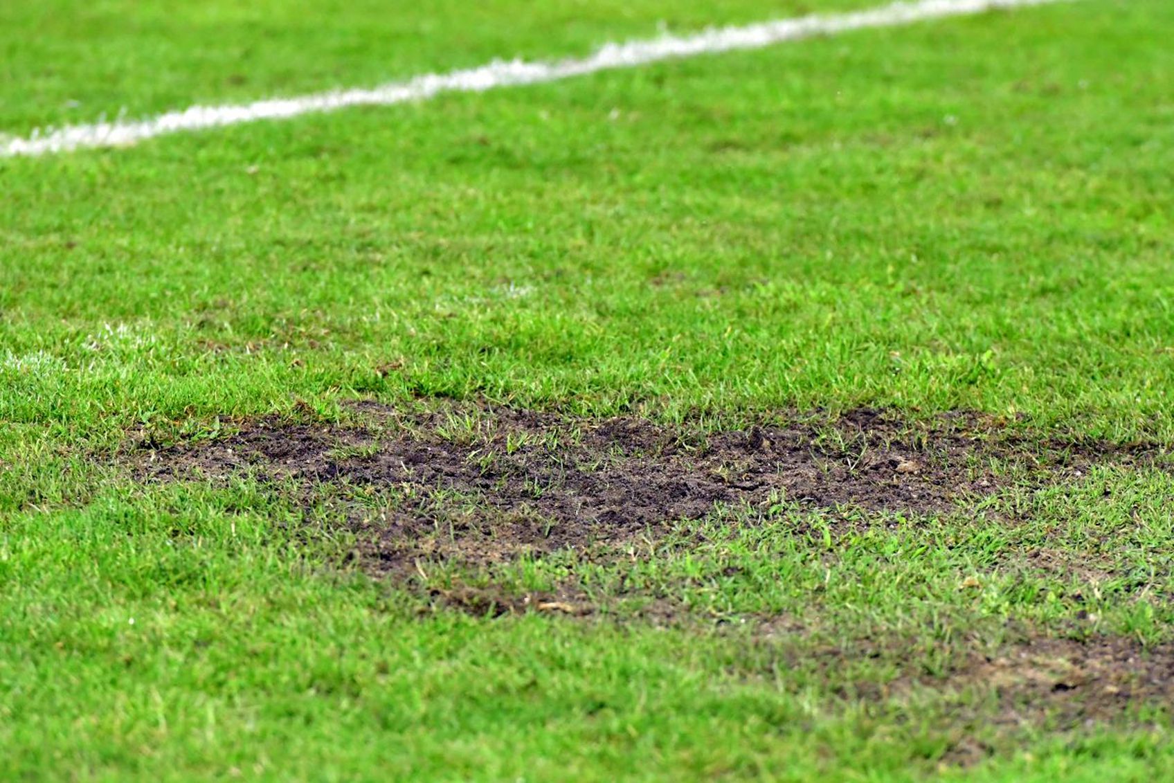 Gazon Stadion Clinceni, foto - Imago