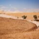 Stage 1 the BP Rally-Raid Portugal 2025, WR2C 24septembrie Grandola-Portugal. FOTO: A.S.O.