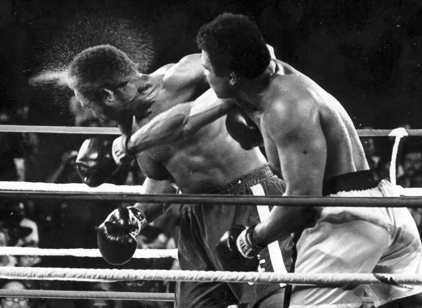Rumble in the jungle, Muhammad Ali vs George Foreman,Kinshasa -Congo 1974, Foto/NY Daily News