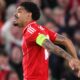 Morgan Gibbs-White dupa ce a marcat singurul gol al partidei, FOTO: Sky Sports