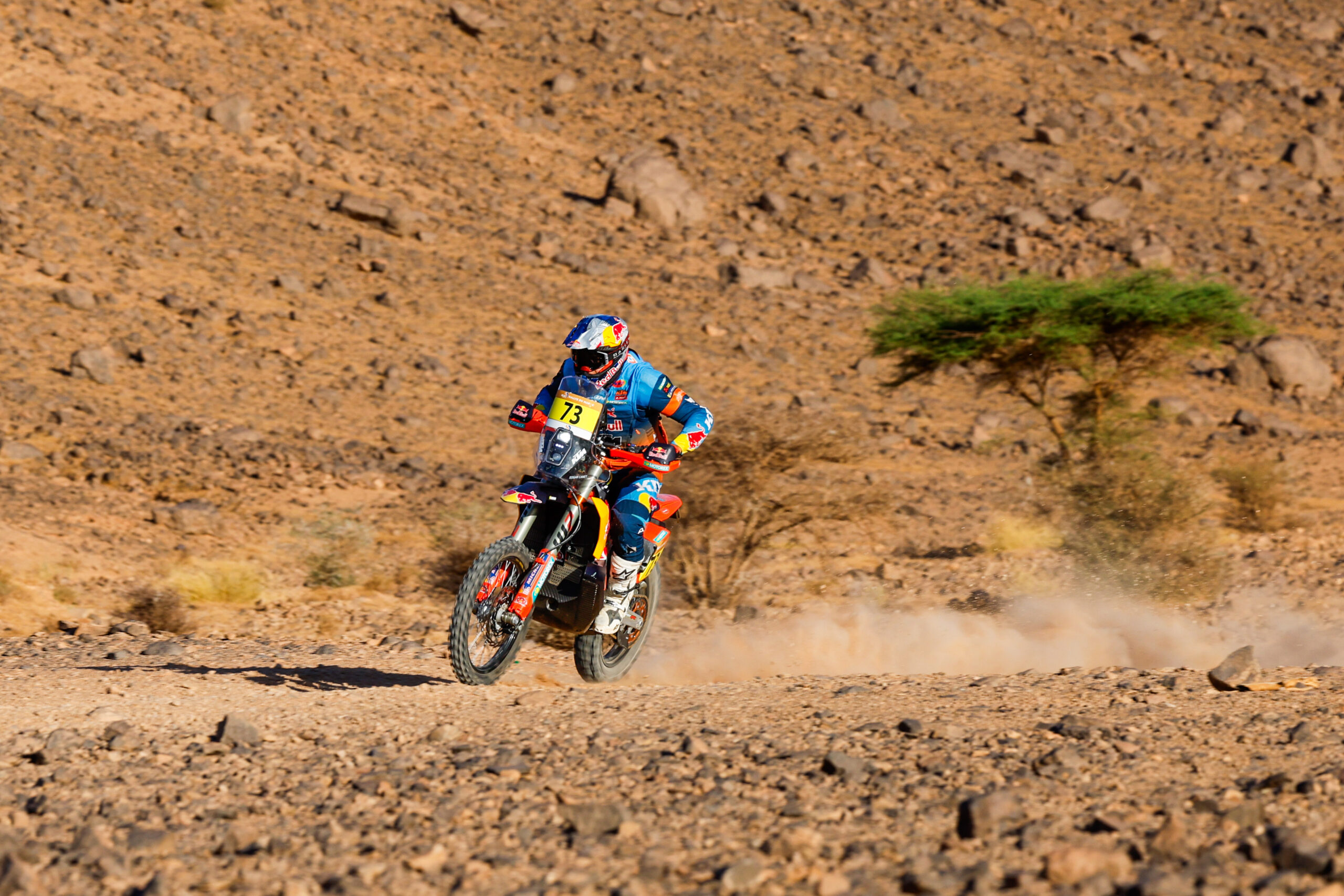 73 CANET Edgar (esp), Red Bull KTM Factory Racing, KTM 450 Rally Factory, FIM W2RC, Rally GP J, action, during the Stage 5 of the Rallye du Maroc 2026, 4th round of the 2026 WR2C Championship from October 3, 2026 around Zagora, Morocco - Photo Frederic Le Floc'h / DPPI